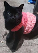 Cutie in sweater